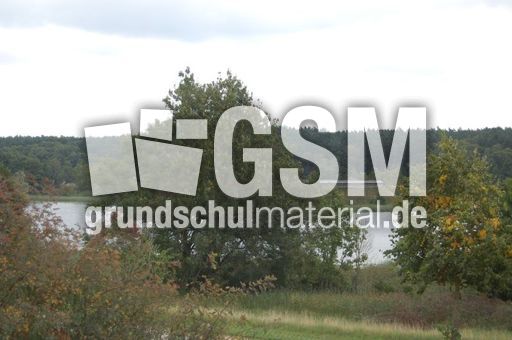 Slawenburg_Gross_Raden_Burgwall_02.jpg